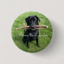 Search for dog photo badges Adorable