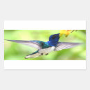 Search for hummingbird stickers Nature