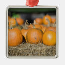 Search for shiny christmas tree decorations Food