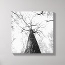 Search for black and white tree canvas prints Modern
