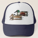 Search for avian hats Feathers