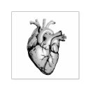 Search for medical rubber stamps Heart