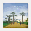 Search for baobabs Baobab trees
