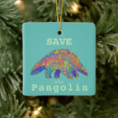 Search for endangered christmas tree decorations Animal