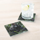 Search for primate coasters Gorilla