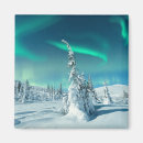 Search for spruce tree magnets Snow