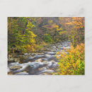 Search for great outdoors postcards Forest