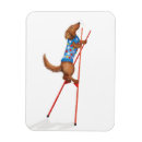 Search for sausage dog kitchen accessories Cute