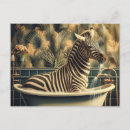 Search for bathroom postcards Zebra