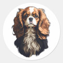 Search for king stickers Spaniel