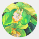 Search for yellow orchid stickers Green