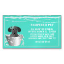 Search for pet sitter magnets Business