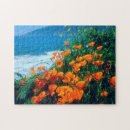 Search for big sur puzzles Danita delimont