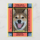 Search for funny cats and dogs postcards Create your own