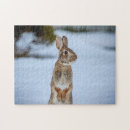 Search for bunny rabbit puzzles Snow