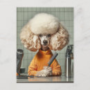 Search for grooming postcards Pet care