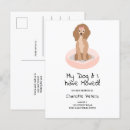 Search for breeding invitations Change of address