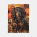 Search for dachshund thanksgiving Pet