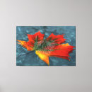 Search for focus art Red