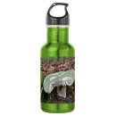Search for mushroom water bottles Nature
