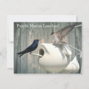 Search for martin postcards Birds