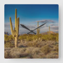 Search for arizona clocks Sunset