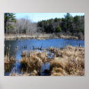 Search for marsh art Nature