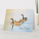 Search for canadian birthday cards Geese