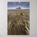 Search for west coast posters Auckland