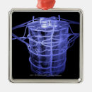 Search for low angle view christmas tree decorations Body