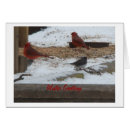 Search for expression photography Snow