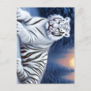 Search for snow tiger postcards Big cat