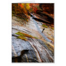 Search for rock climber cards Adventure