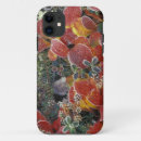 Search for denali national park iphone cases Alaska