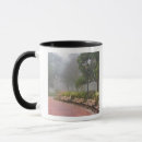 Search for joann mugs Usa