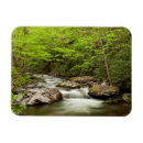 Search for smokey mountain magnets North carolina