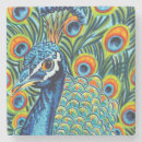 Search for peacock coasters Feather