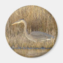 Search for blue heron magnets Outdoors