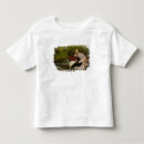 Search for 1870 tshirts Male