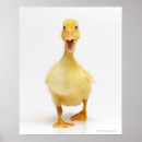 Search for looking at camera posters Full length