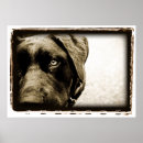 Search for laboratory photography Black and white photography