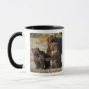Search for sow mugs National park