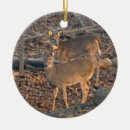 Search for whitetail deer christmas tree decorations Animal