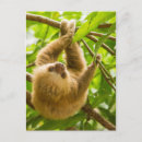 Search for getty Curious