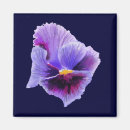 Search for pansies magnets Pansy