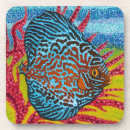Search for tropical coasters Sea life