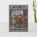 Search for 13 year old girl cards For kids