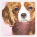 Search for females stickers For kids