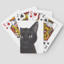 Search for black cat playing cards Animal lovers