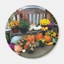 Search for fall flower magnets Garden